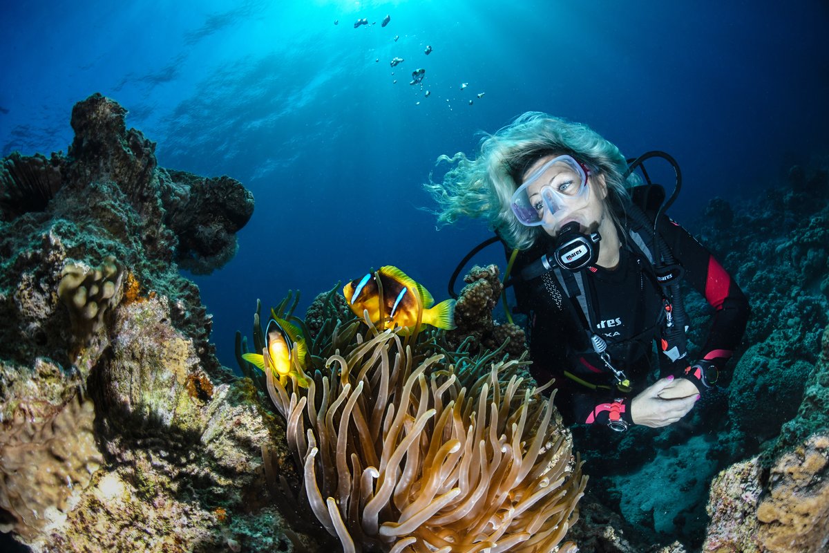 Plongeuse privée explorant la vie marine méditerranéenne au Maroc